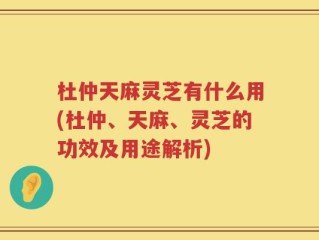 杜仲天麻灵芝有什么用(杜仲、天麻、灵芝的功效及用途解析)