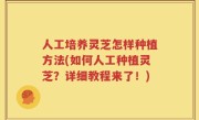 人工培养灵芝怎样种植方法(如何人工种植灵芝？详细教程来了！)