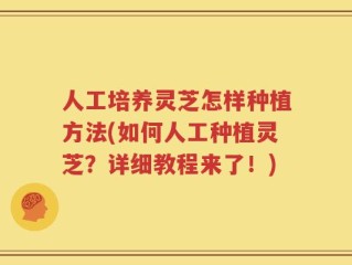 人工培养灵芝怎样种植方法(如何人工种植灵芝？详细教程来了！)