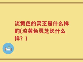 淡黄色的灵芝是什么样的(淡黄色灵芝长什么样？)