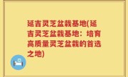 延吉灵芝盆栽基地(延吉灵芝盆栽基地：培育高质量灵芝盆栽的首选之地)