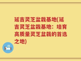 延吉灵芝盆栽基地(延吉灵芝盆栽基地：培育高质量灵芝盆栽的首选之地)