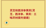 灵芝和西洋参黄芪(灵芝、西洋参、黄芪：三味药材提升健康)