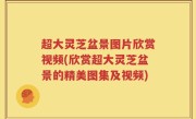 超大灵芝盆景图片欣赏视频(欣赏超大灵芝盆景的精美图集及视频)