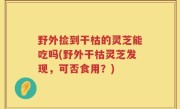 野外捡到干枯的灵芝能吃吗(野外干枯灵芝发现，可否食用？)