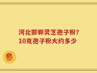 河北邯郸灵芝孢子粉？10克孢子粉大约多少