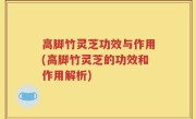 高脚竹灵芝功效与作用(高脚竹灵芝的功效和作用解析)