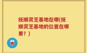 抚顺灵芝基地在哪(抚顺灵芝基地的位置在哪里？)