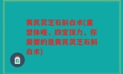 黄芪灵芝石斛白术(重塑体魄，四宝顶力，你需要的是黄芪灵芝石斛白术)