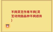 不同灵芝作用不同(灵芝功效因品种不同迥异)