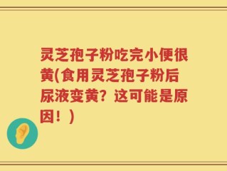 灵芝孢子粉吃完小便很黄(食用灵芝孢子粉后尿液变黄？这可能是原因！)