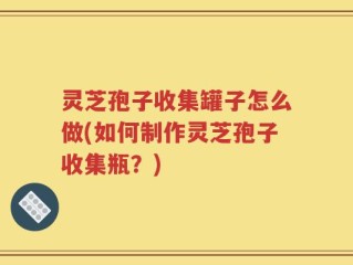 灵芝孢子收集罐子怎么做(如何制作灵芝孢子收集瓶？)