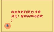表面灰色的灵芝(神奇灵芝：探索其神秘功效)