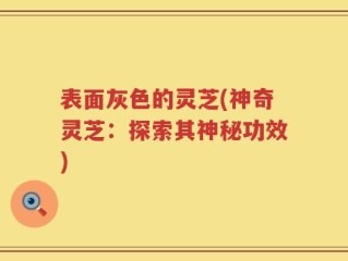 表面灰色的灵芝(神奇灵芝：探索其神秘功效)