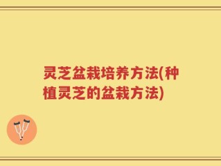 灵芝盆栽培养方法(种植灵芝的盆栽方法)