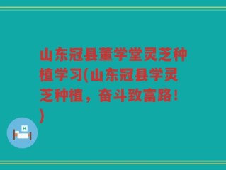 山东冠县董学堂灵芝种植学习(山东冠县学灵芝种植，奋斗致富路！)