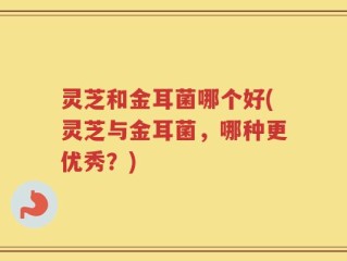 灵芝和金耳菌哪个好(灵芝与金耳菌，哪种更优秀？)