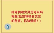 给宠物喂食灵芝可以吗视频(给宠物喂食灵芝的危害，你知道吗？)