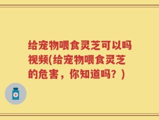 给宠物喂食灵芝可以吗视频(给宠物喂食灵芝的危害，你知道吗？)