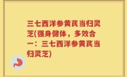 三七西洋参黄芪当归灵芝(强身健体，多效合一：三七西洋参黄芪当归灵芝)
