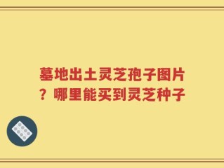 墓地出土灵芝孢子图片？哪里能买到灵芝种子