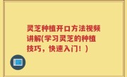 灵芝种植开口方法视频讲解(学习灵芝的种植技巧，快速入门！)