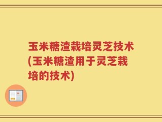 玉米糖渣栽培灵芝技术(玉米糖渣用于灵芝栽培的技术)