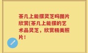 茶几上能摆灵芝吗图片欣赏(茶几上能摆的艺术品灵芝，欣赏精美照片！