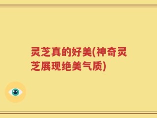 灵芝真的好美(神奇灵芝展现绝美气质)
