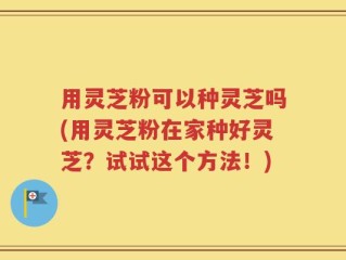 用灵芝粉可以种灵芝吗(用灵芝粉在家种好灵芝？试试这个方法！)