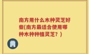 南方用什么木种灵芝好些(南方最适合使用哪种木种种植灵芝？)