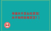 寻道大千怎么吃灵芝(大千如何食用灵芝？)