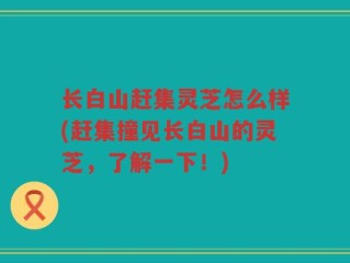长白山赶集灵芝怎么样(赶集撞见长白山的灵芝，了解一下！)
