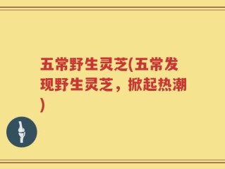 五常野生灵芝(五常发现野生灵芝，掀起热潮)