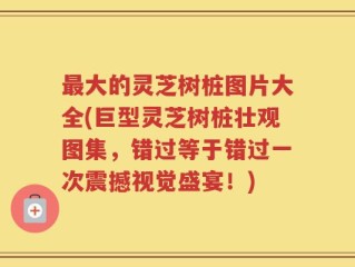 最大的灵芝树桩图片大全(巨型灵芝树桩壮观图集，错过等于错过一次震撼视觉盛宴！)