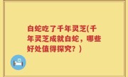 白蛇吃了千年灵芝(千年灵芝成就白蛇，哪些好处值得探究？)