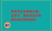 黄芪灵芝天麻西洋参(五草方：黄芪灵芝天麻西洋参的营养益处)