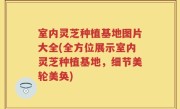 室内灵芝种植基地图片大全(全方位展示室内灵芝种植基地，细节美轮美奂)
