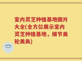 室内灵芝种植基地图片大全(全方位展示室内灵芝种植基地，细节美轮美奂)
