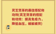 灵芝煲茶的最佳搭配和功效(灵芝煲茶的搭配和功效：提高免疫力，降低血压，缓解疲劳)