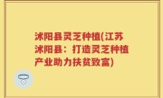 沭阳县灵芝种植(江苏沭阳县：打造灵芝种植产业助力扶贫致富)