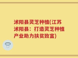 沭阳县灵芝种植(江苏沭阳县：打造灵芝种植产业助力扶贫致富)