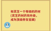 和灵芝一个等级的药材(灵芝药材药效升级，成为顶级养生宝藏)