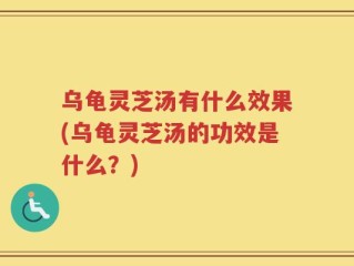 乌龟灵芝汤有什么效果(乌龟灵芝汤的功效是什么？)