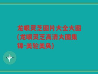 龙眼灵芝图片大全大图(龙眼灵芝高清大图集锦-美轮美奂)
