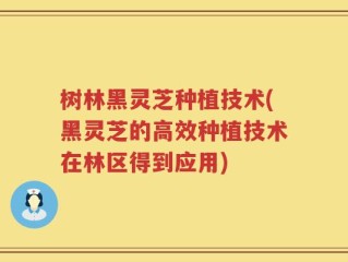 树林黑灵芝种植技术(黑灵芝的高效种植技术在林区得到应用)