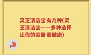 灵芝清洁宝有几种(灵芝清洁宝——多种选择让你的家居更健康)
