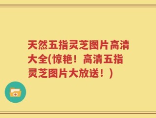 天然五指灵芝图片高清大全(惊艳！高清五指灵芝图片大放送！)