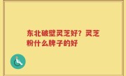 东北破壁灵芝好？灵芝粉什么牌子的好