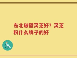 东北破壁灵芝好？灵芝粉什么牌子的好